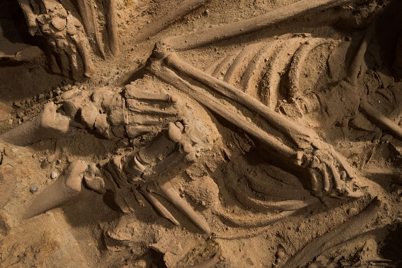 Illustration for article titled 200 Skeletons Have Been Discovered Beneath A Supermarket In Paris